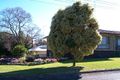 Property photo of 14 Kammann Street Manjimup WA 6258