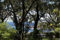 Property photo of 26 Depot Beach Road Depot Beach NSW 2536