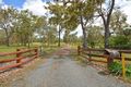 Property photo of 50 Torbanlea Pialba Road Walligan QLD 4655