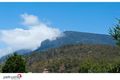 Property photo of 10 Lisa Court Lenah Valley TAS 7008
