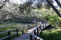 Property photo of 14 Clarke Street Bargara QLD 4670