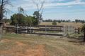 Property photo of 4567 Newell Highway Peak Hill NSW 2869