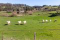 Property photo of 198 Neudorf Road Lobethal SA 5241