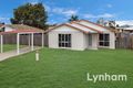 Property photo of 12 Amber Avenue Rasmussen QLD 4815