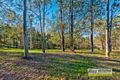 Property photo of 6 Springfield Court Wights Mountain QLD 4520