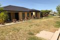 Property photo of 1 Hamersley Place Tatton NSW 2650