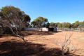 Property photo of 690A Thiele Road Loveday SA 5345