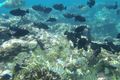 Property photo of 71 Gaze Road Christmas Island WA 6798