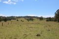 Property photo of 851 Wang Wauk Road Wang Wauk NSW 2423