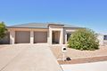 Property photo of 45 Jensen Avenue Whyalla Jenkins SA 5609