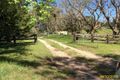 Property photo of 981 Lower Buckra Bendinni Road Argents Hill NSW 2449