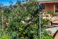 Property photo of 50 Stephen Road Waggrakine WA 6530
