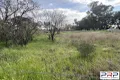 Property photo of 64 Military Road Parkes NSW 2870
