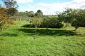 Property photo of 43 Chaffey Street Gladstone TAS 7264