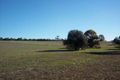 Property photo of 39 Avenue Road Strathalbyn SA 5255
