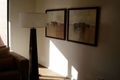 Property photo of 350 Epping Road Wollert VIC 3750