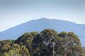 Property photo of 11 Charters Avenue Gisborne VIC 3437