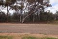 Property photo of 166 Oaks Road Napperby SA 5540