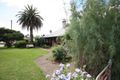 Property photo of 1 Singleton Street Broke NSW 2330
