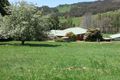 Property photo of 962 Lake Canobolas Road Canobolas NSW 2800
