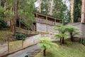 Property photo of 29 Kaola Street Belgrave VIC 3160