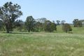 Property photo of 54 Stringy Park Close Bega NSW 2550