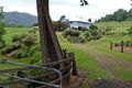 Property photo of 15 Cecil Street Nimbin NSW 2480