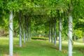 Property photo of 50 Mountview Close Bega NSW 2550