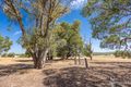 Property photo of 34 Jersey Road Lower Chittering WA 6084