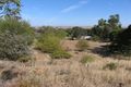 Property photo of 104 Mitchell Avenue Riverglades SA 5253