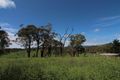 Property photo of 691 The Escort Way Borenore NSW 2800