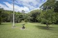 Property photo of 1668 Mossman-Mount Molloy Road Julatten QLD 4871