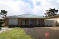 Property photo of 19 Fairleigh Avenue Modbury North SA 5092