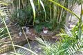 Property photo of 28 Meron Street Wynnum West QLD 4178