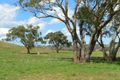 Property photo of 140 Mousehole Lane Boree NSW 2800