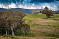 Property photo of 287 Harolds Cross Road Captains Flat NSW 2623