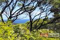 Property photo of 49 Gneiss Hill Road Bremer Bay WA 6338