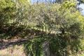 Property photo of 74 Old Belgrave Road Upper Ferntree Gully VIC 3156