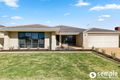 Property photo of 7 Snowy Rise Hammond Park WA 6164