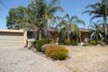 Property photo of 7 Warilda Avenue Valley View SA 5093