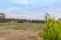 Property photo of 56 Emu Flat Road Armagh SA 5453