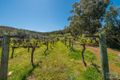 Property photo of 287 Chittering Valley Road Lower Chittering WA 6084