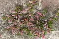 Property photo of Goldfields Road Kellerberrin WA 6410