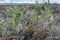 Property photo of Goldfields Road Kellerberrin WA 6410