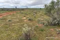 Property photo of Goldfields Road Kellerberrin WA 6410