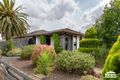 Property photo of 11 Risson Street Melton South VIC 3338