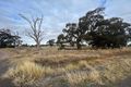 Property photo of LOT 28 Edols Street Bogan Gate NSW 2876