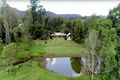 Property photo of 52 Thorburn Street Nimbin NSW 2480