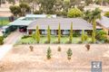 Property photo of 55 Livingstone Street Mathoura NSW 2710