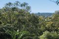 Property photo of 22 Plateau Road Avalon Beach NSW 2107